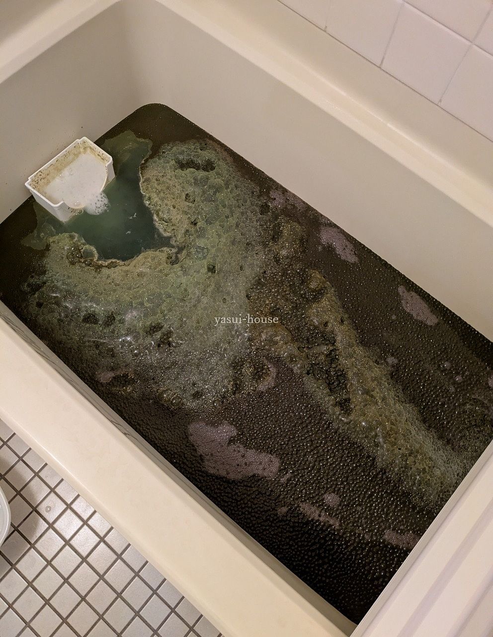 洗浄中 洗浄中