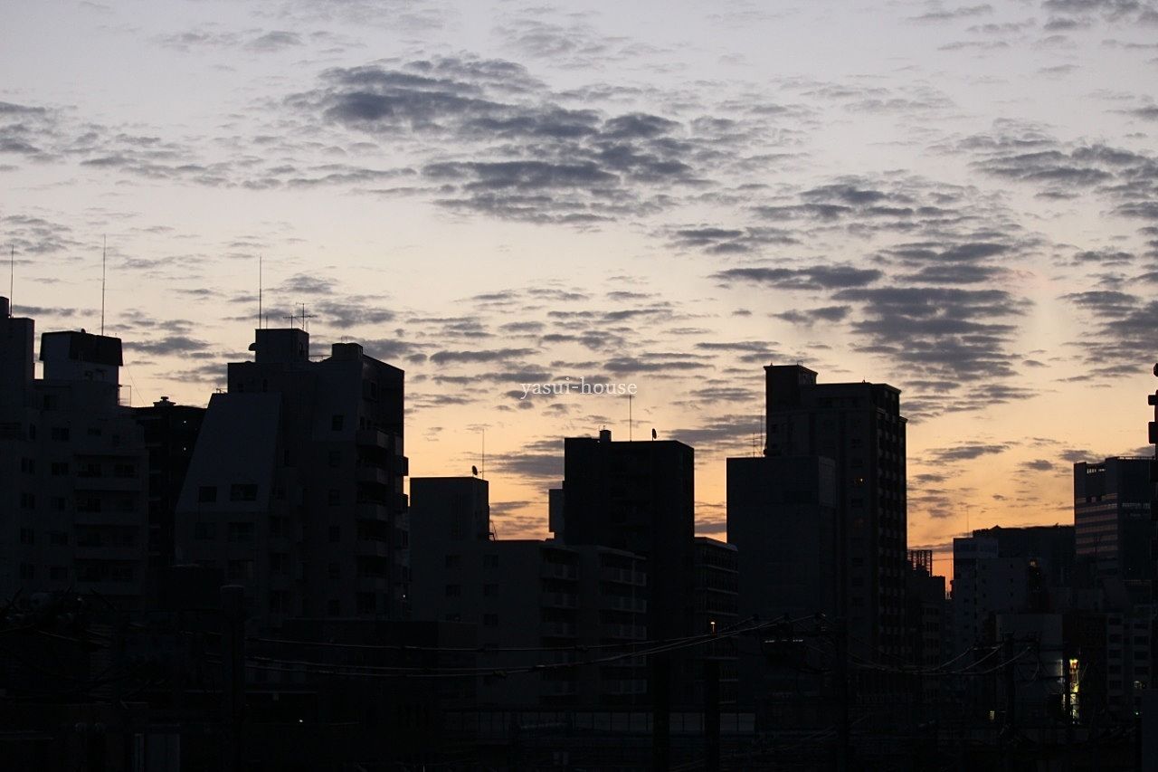 東の空 2026年2月/ラビ目黒 東の空 2026年2月/ラビ目黒